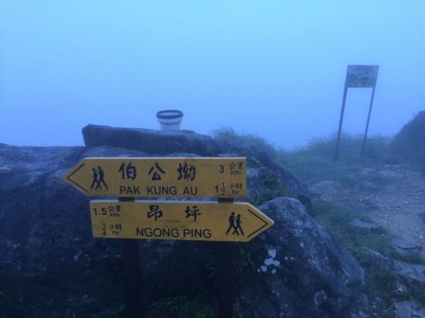 如皋瘫痪大学生寒假陪敬老院老人提前过大年